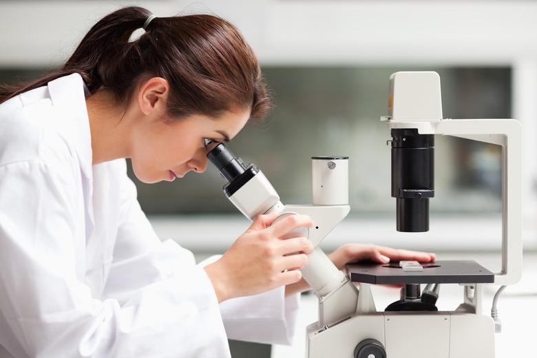 Focused female science student looking in a microscope