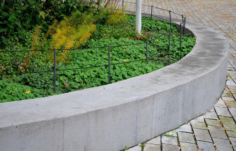 autumn yellow coloration of perennial vegetation in an elevated flowerbed. the gray concrete wall serves as a bench. in some places it turns into an arch. granite paving of granite cubes. gardener collects garbage in a bag with pliers