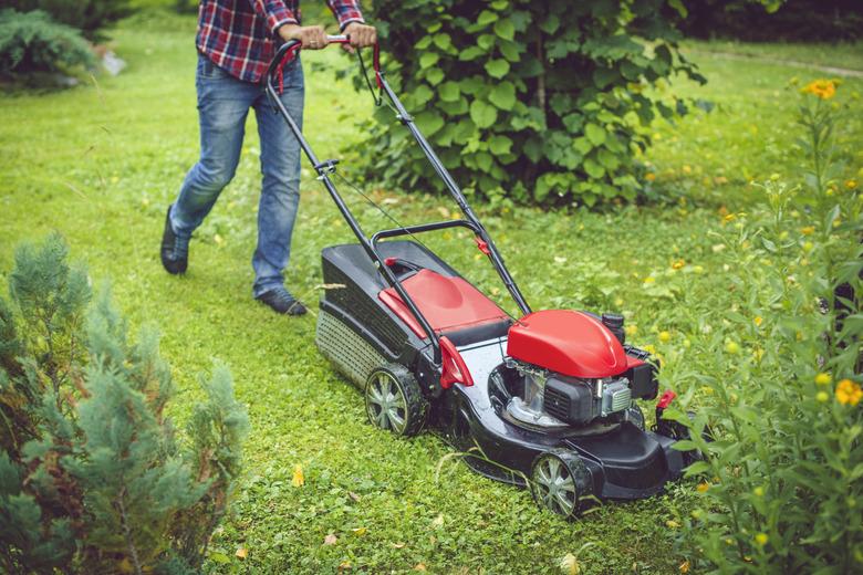 Man using a lawn mower in his back yard