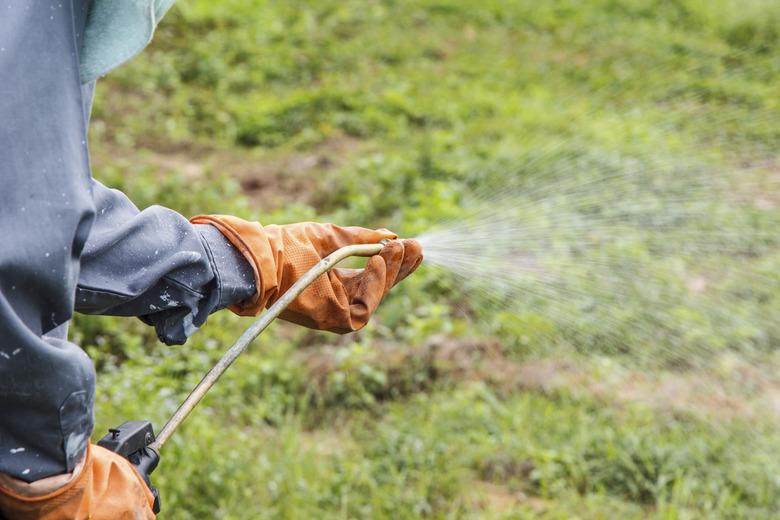 Man is spraying herbicide