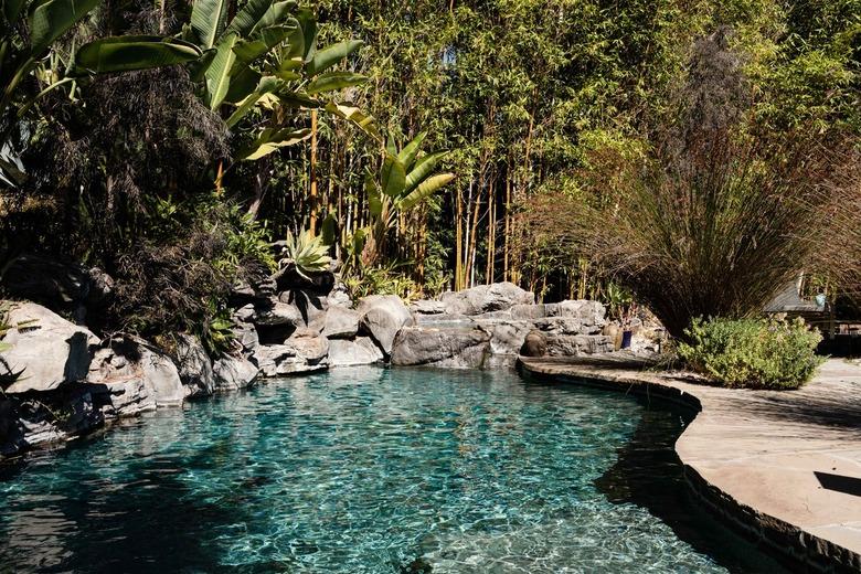 An in-ground swimming pool in a natural backyard setting