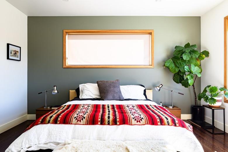 A bedroom with a large plant, wood framed windows and white-green walls