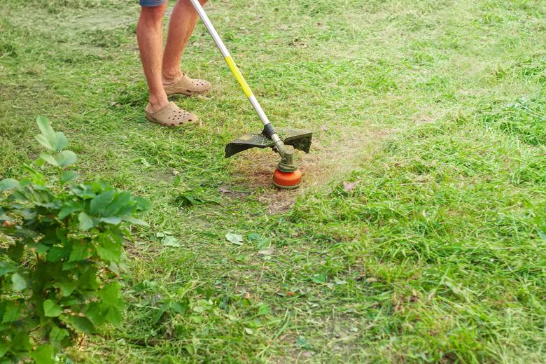 Lawnmower trimmer for mowing grass in gardener hands. Life in the suburb concept, backyard plants care.