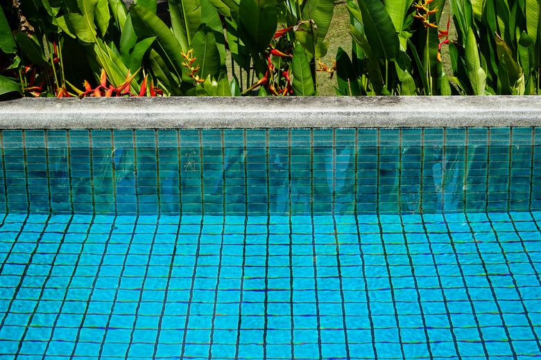 Swimming pool clear water showing turquoise blue clay square tiles and cement grout lines with sandwash edge and Bird of Paradise flower in red and yellow blooming with green leaves background