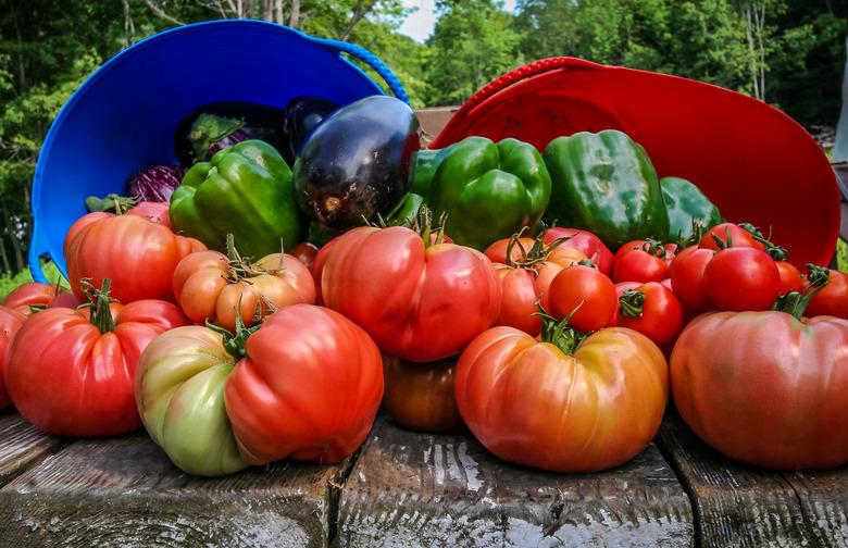 summer vegetables