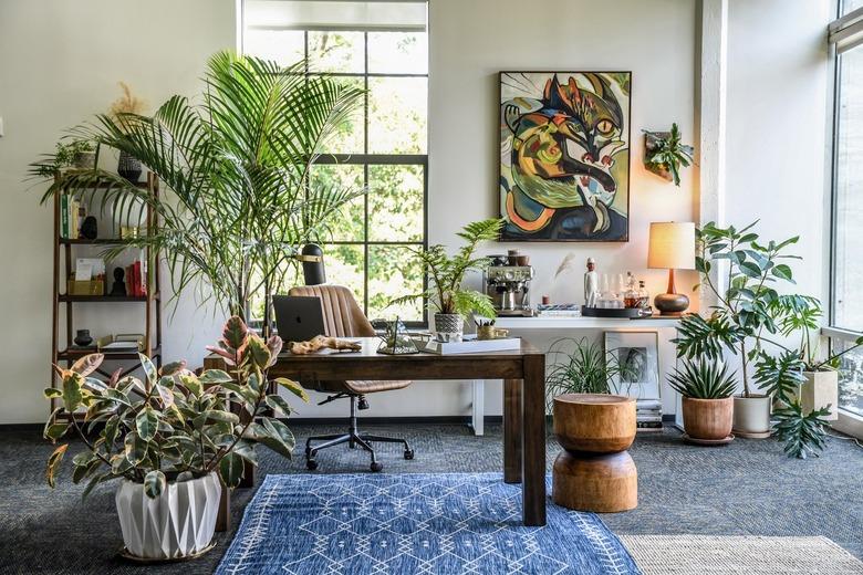 An office filled with houseplants