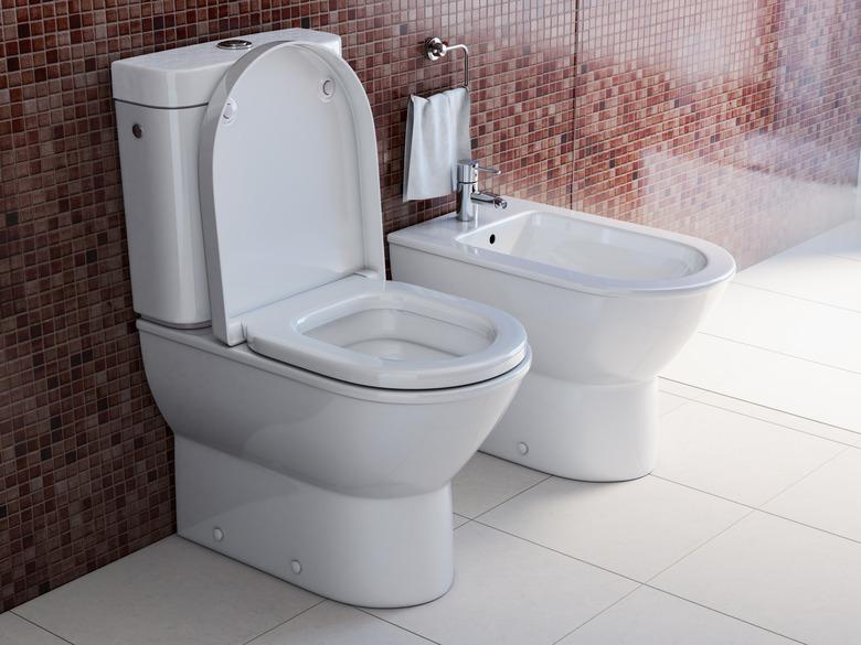 Toilet bowl and bidet in the modern bathroom.