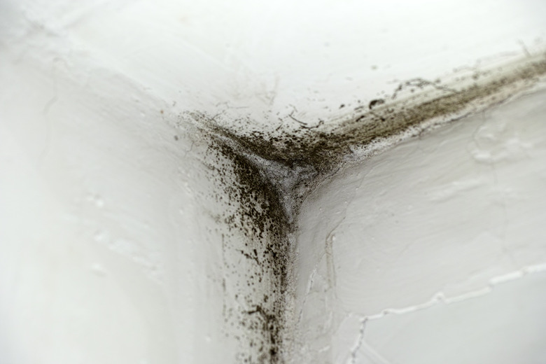 Mold in corner