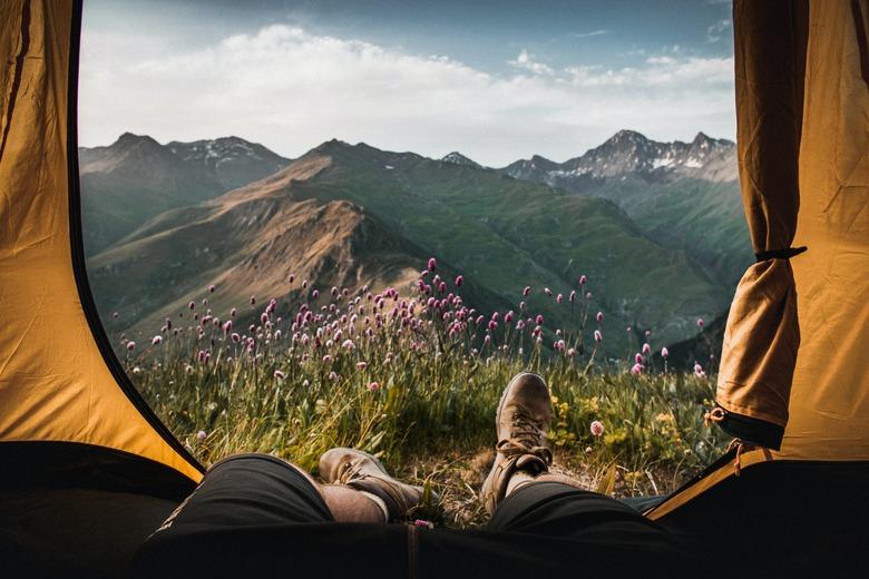 person lying in tent facing mountain and purple flowers