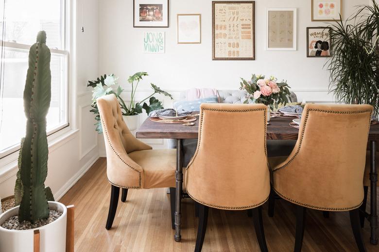 Dining room with cactus plant, parlor palm plant, and suede dining chairs