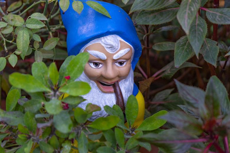 GNOME FIGURE AMONG SOME PLANTS IN A GARDEN