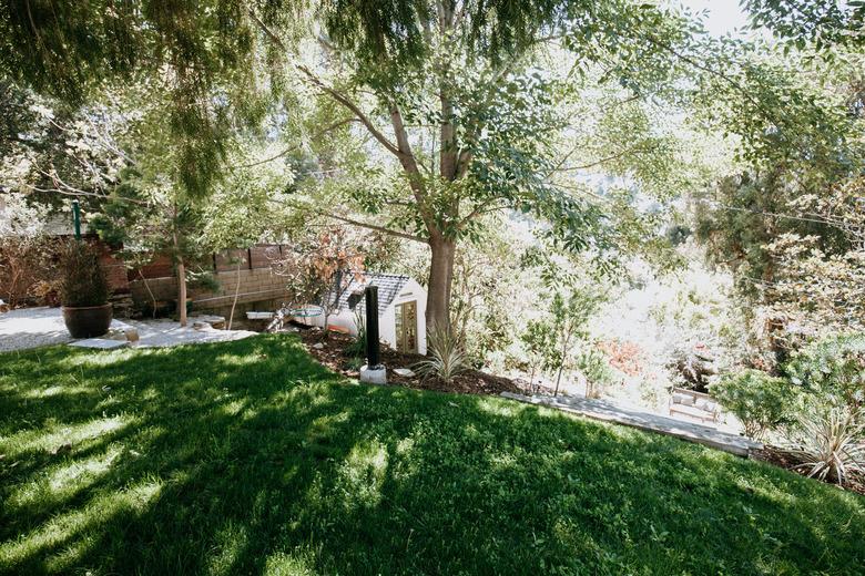 A lush green yard with trees and a gravel walkway