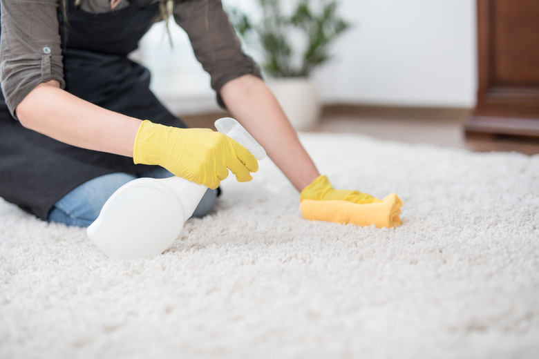 Housewife cleaning carpet.