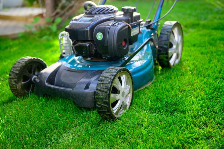 Lawn mower on green grass in backyard