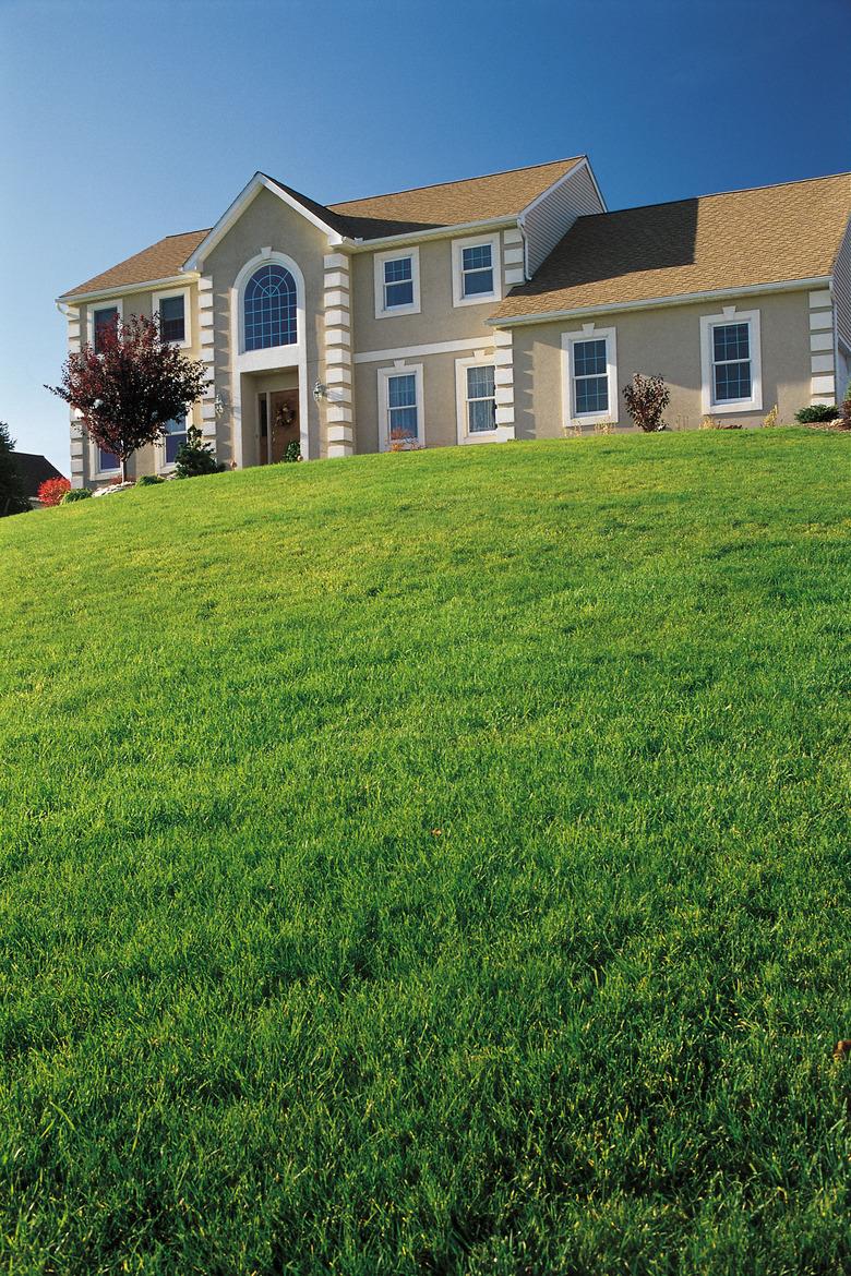 Front lawn and exterior of suburban home