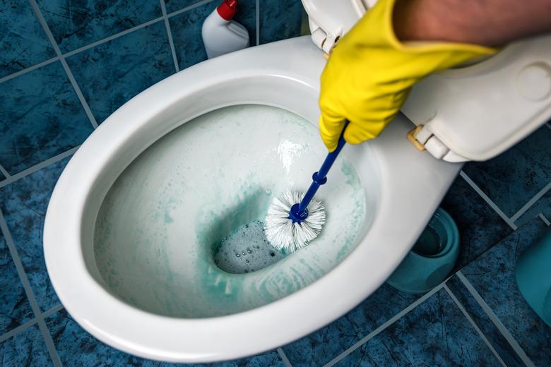 Cleaning toilet bowl using brush and cleaning product.