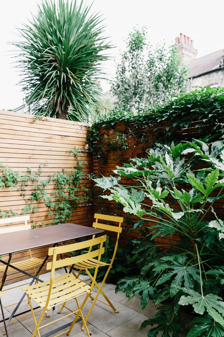 Outdoor patio with wood fencing, simple table and chairs, green plants, and palm tree