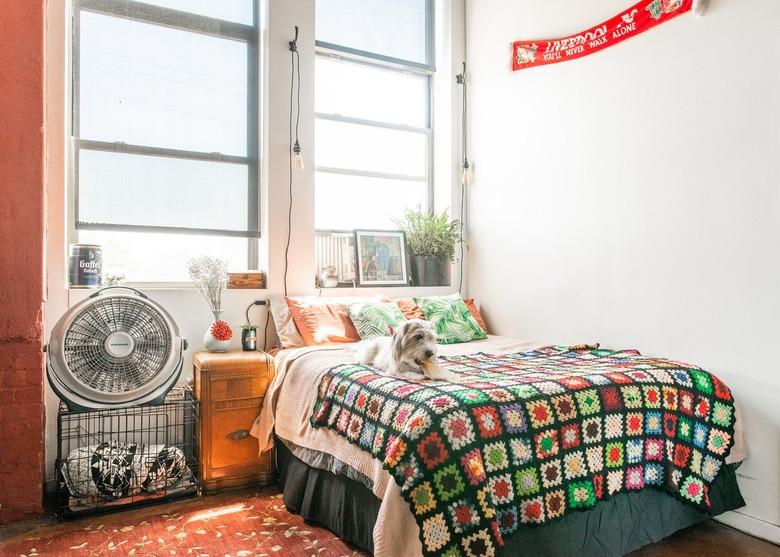 Dog on a bed with a colorful crochet blanket, orange and green pillows. Wood night table with a vase of flowers. Round fan on a dog carrier.