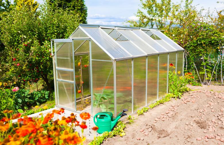 Green house in the garden