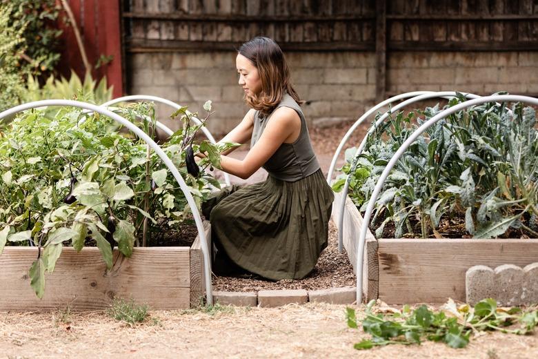 Woman tending to her vegetable garden