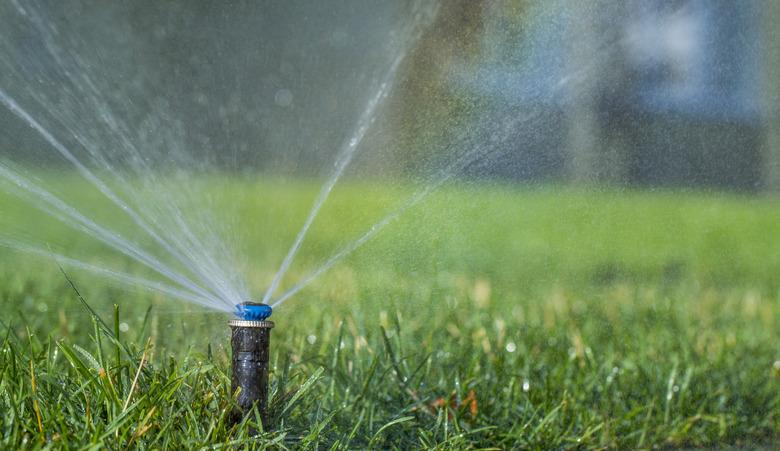 automatic sprinkler system watering the lawn on a background of green grass