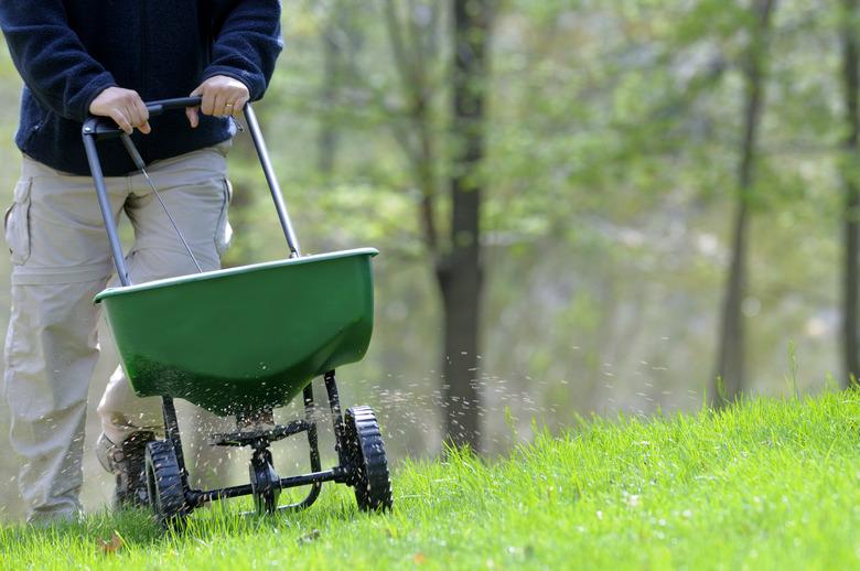 Fertilizing a grassy lawn.