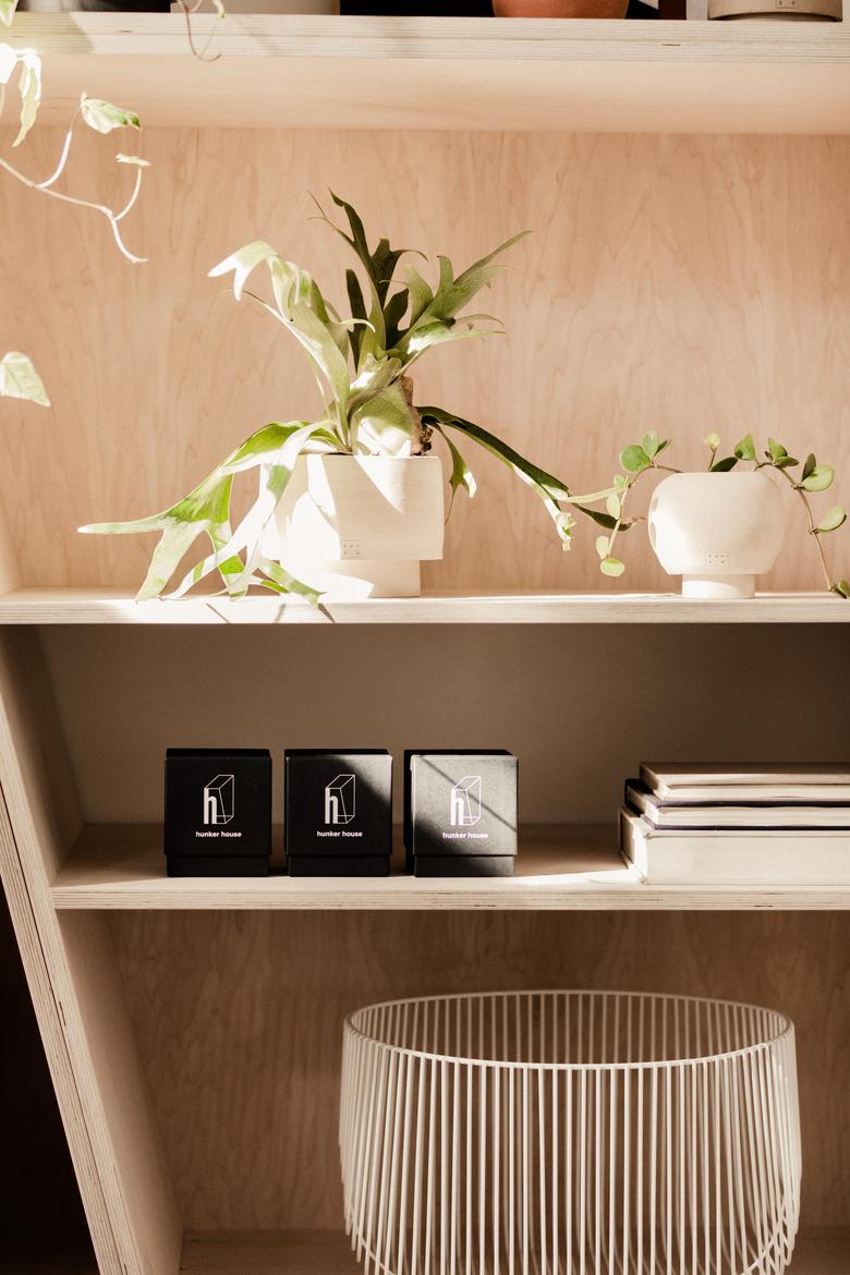 bookcase with greenery and ceramics