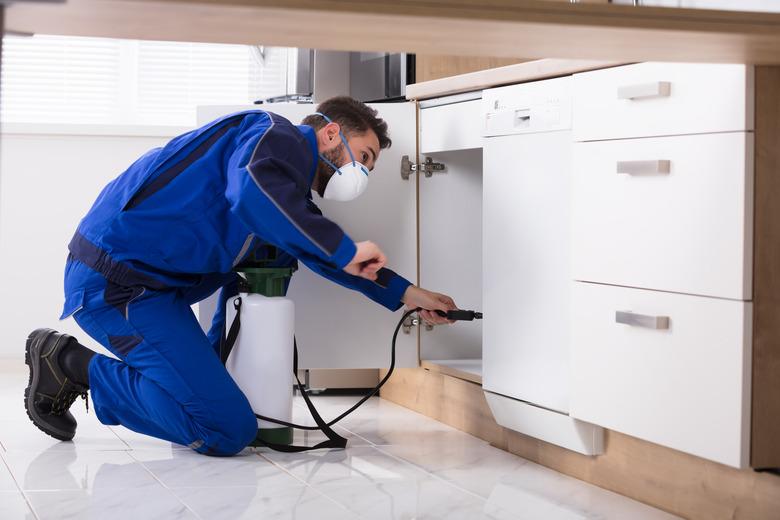 Exterminator spraying pesticide in kitchen.