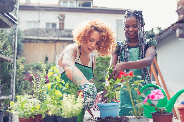 Two young woman potting plants in garden.