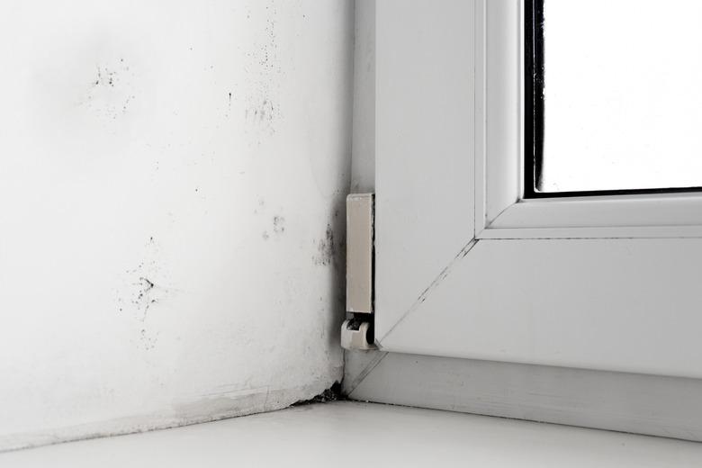 mold in the corner of the window on a white wall Texture background