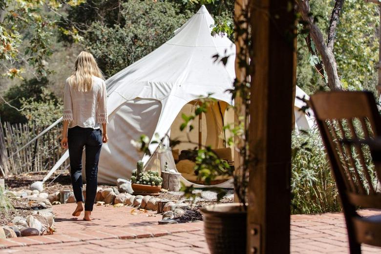 A tent hidden in a sunny backyard