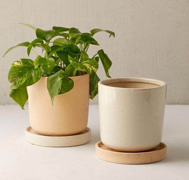 where to shop for indoor planters