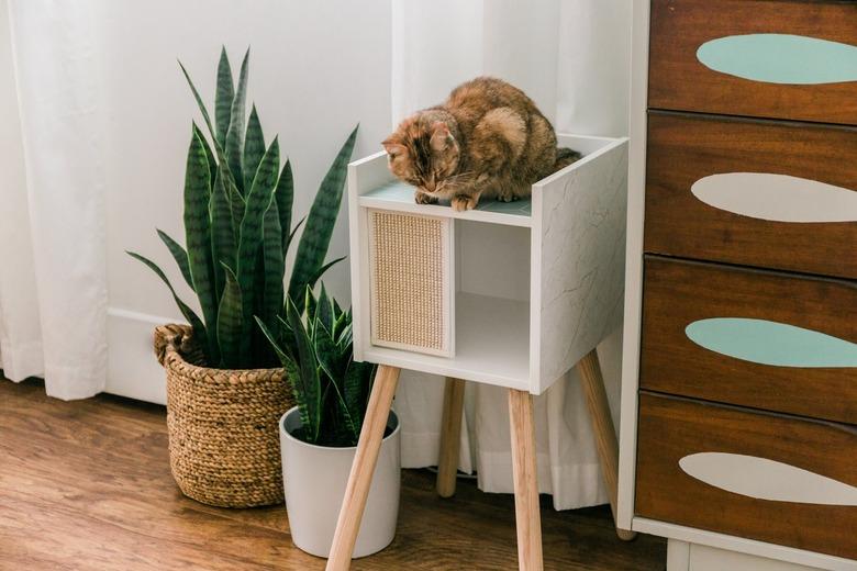 Orange cat sitting on DIY IKEA cat house in modern room with wood flooring and potted plants, drawers, and white curtain