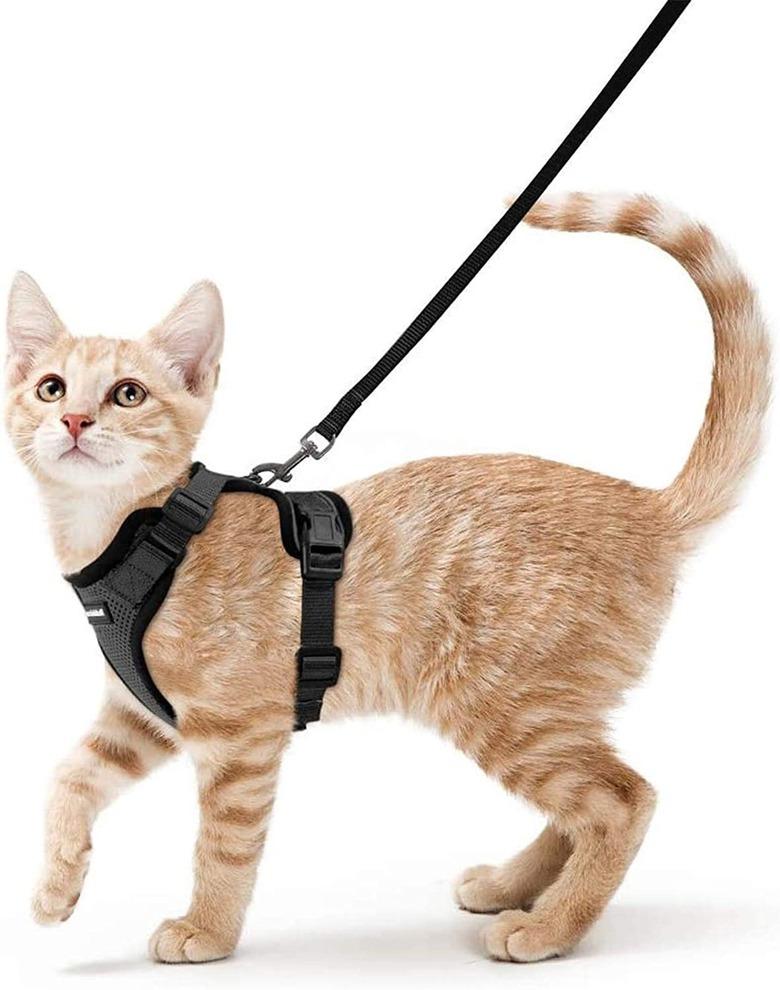 rabbitgoo Cat Harness and Leash for Walking