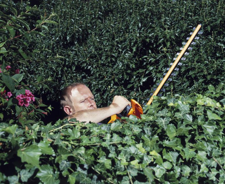 Man Using Hedge Trimmer