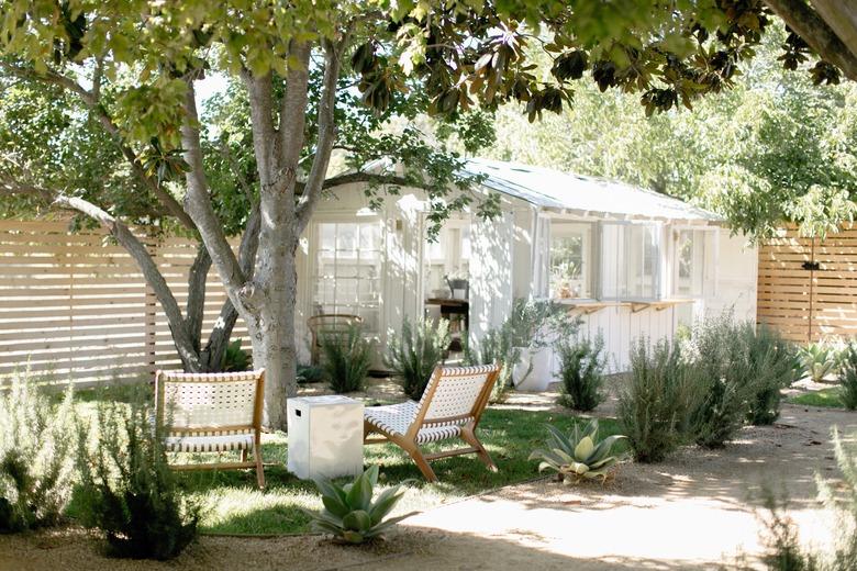 Garden with plants and trees