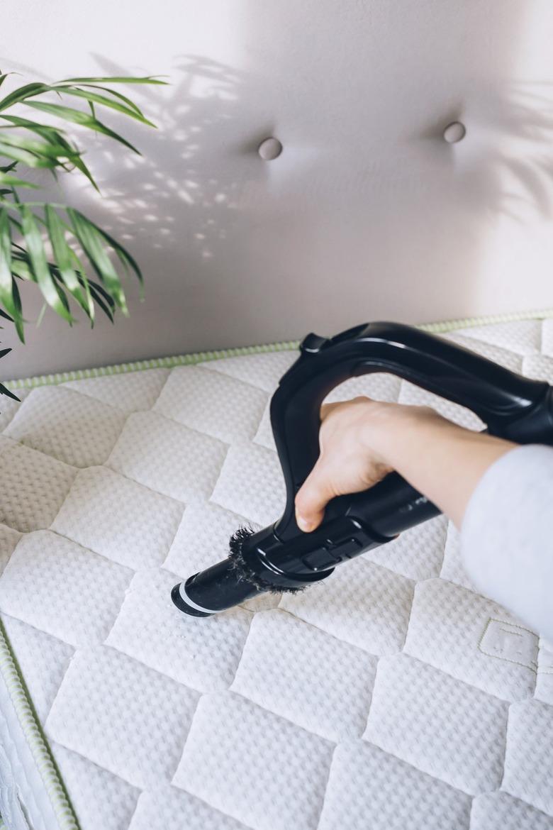 Hand with black vacuum nozzle vacuuming white mattress with white headboard next to plant