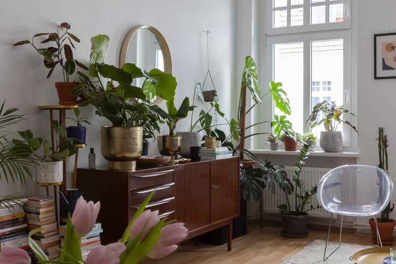 lots of houseplants and midcentury credenza in eclectic boho living room