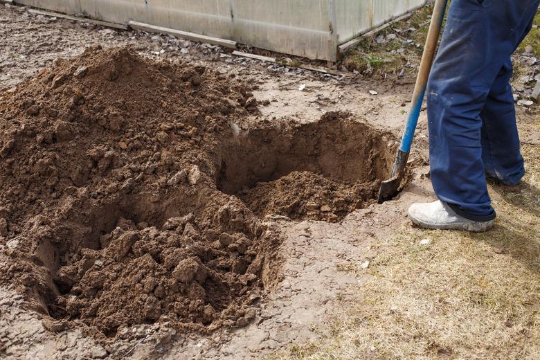 Digging a hole for planting a fruit tree in the garden.