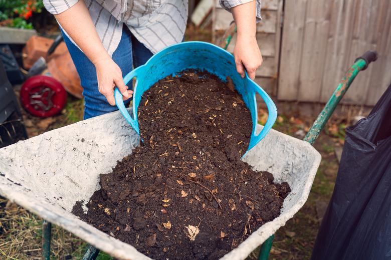 A woman tipping compost from a bucket into a wheelbarrow