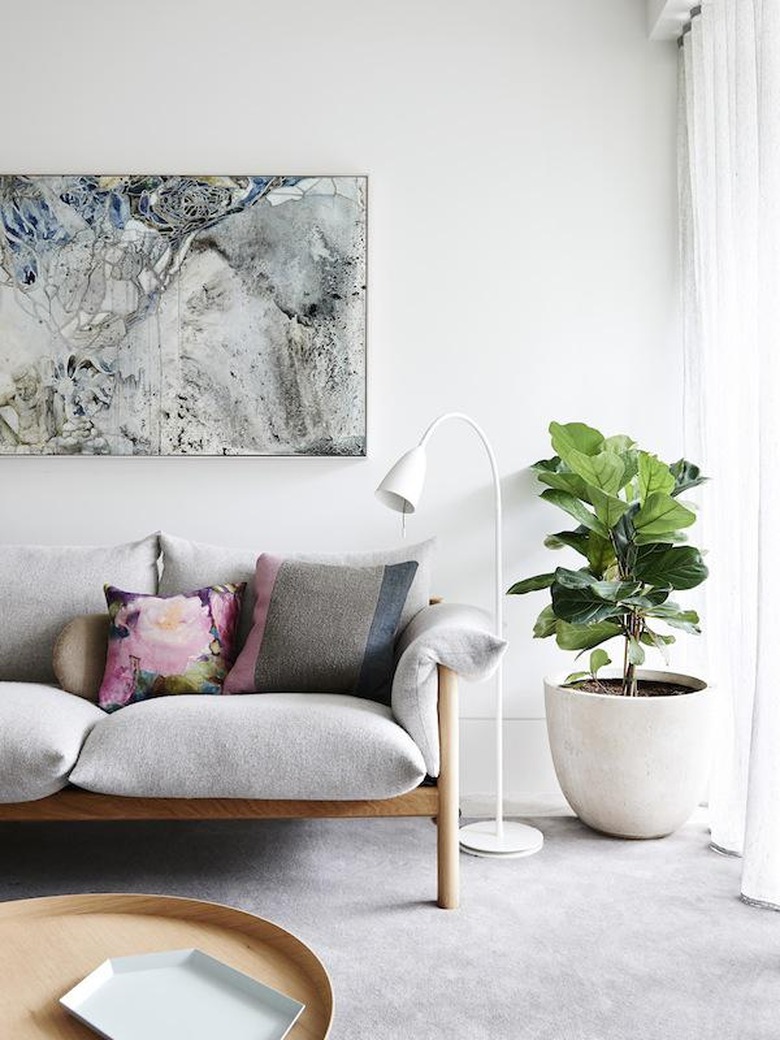 fiddle leaf fig tree