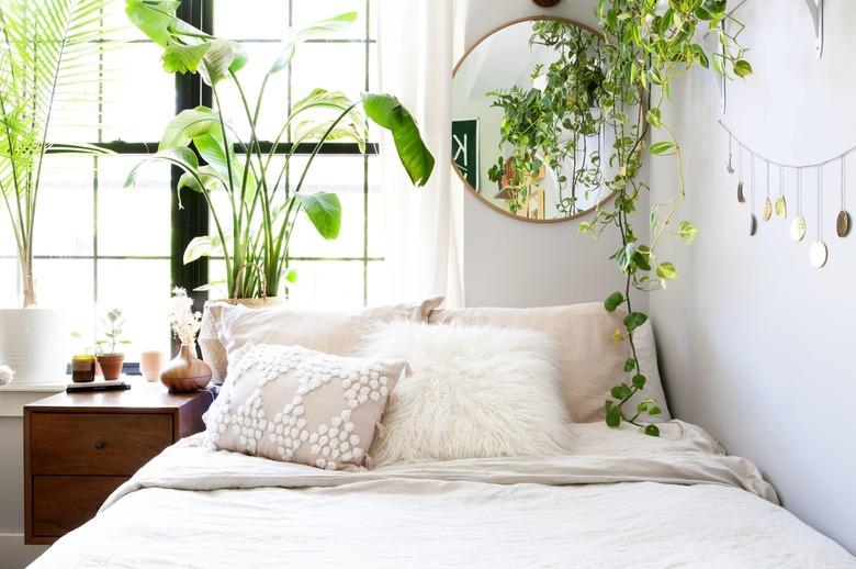 bedroom with plants