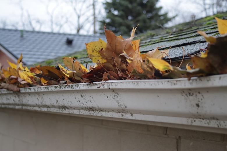 Rain Gutter full of Leaves