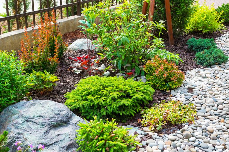 Landscaping in home garden