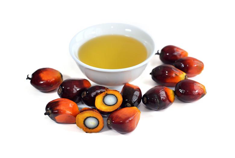 Oil palm fruits