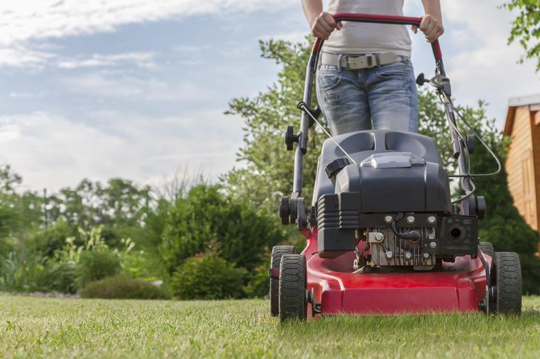 Woman mowing lawn.