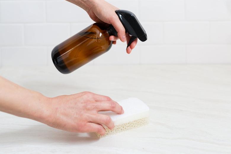 Hands holding a spray bottle and a sponge