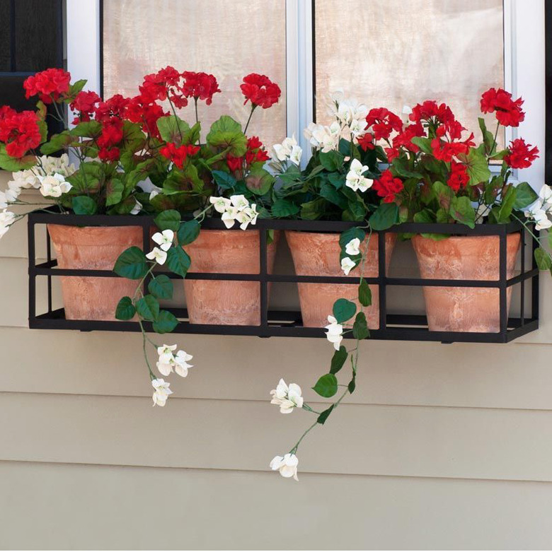 terra cotta planters with begonias in window flower box