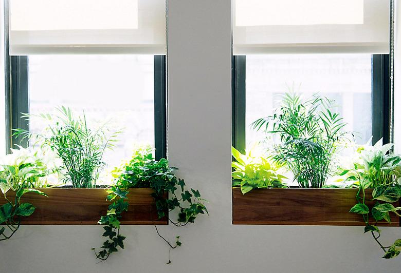 indoor window flower boxes by Terrain