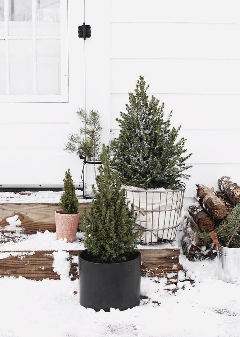 winter front porch with evergreens